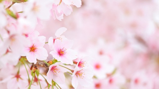 春（3月～5月）